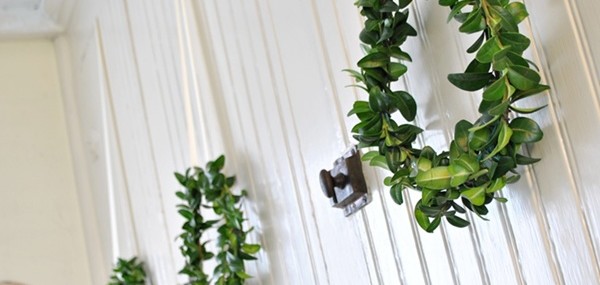 How to Make a Simple Boxwood Wreath