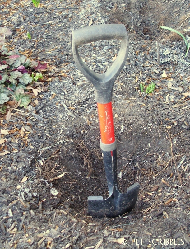 petite garden shovel