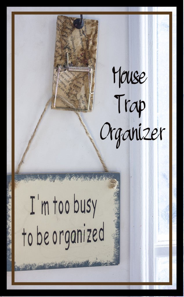 Mouse Trap Organizers